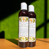 HAIR LOSS TREATMENT SHAMPOO (w/PUMPKIN SEED and CINNAMON) X 2