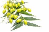 Neem Oil - Virgin Organic