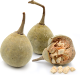 Virgin Organic Baobab Oil is a cold-pressed oil extracted from the large baobab fruits produced by the Adansonia digitata trees native to Africa. High in Omega-3 fatty acids, antioxidants & vitamin C, our BAOBAB OIL is unrefined, and non-deodorized (NO CHEMICALS). Miami, Lauderdale, Palm Beach, So Florida. Online, USA