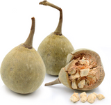 Virgin Organic Baobab Oil is a cold-pressed oil extracted from the large baobab fruits produced by the Adansonia digitata trees native to Africa. High in Omega-3 fatty acids, antioxidants & vitamin C, our BAOBAB OIL is unrefined, and non-deodorized (NO CHEMICALS). Miami, Lauderdale, Palm Beach, So Florida. Online, USA