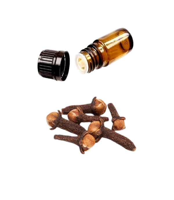 Clove Bud Essential Oil (Aromatherapy)