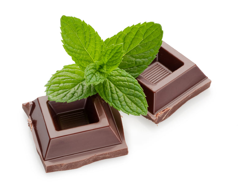 LONG BURNING COCOA MINT AROMA OIL. Our oils are strong and meant to last. We do not cut our oils. A very strong OIL packed with a lot of AROMA to appease your senses. When you burn the oil, we always recommend a few drops of oil to an equal amount of water. Miami, Ft Lauderdale, West Palm Beach, South Florida, USA