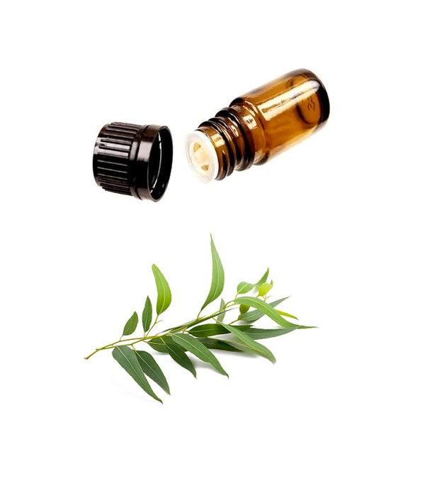 Buy Pure EUCALYPTUS Essential Oil (Therapeutic Treatment) MY Natural Beauty essential oils are 100% pure and natural - Steam distilled from the leaves of the eucalyptus globulus plant, resulting in a clear liquid with a strong distinguished aroma.