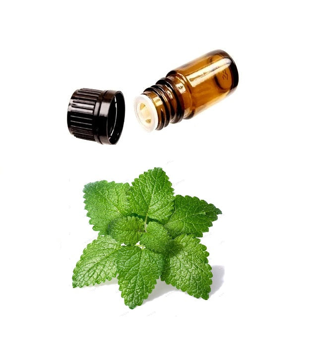 Buy Pure Melissa Lemon Balm Oil online. Commonly used to help treat allergies, insect bites, eczema and other skin problems, asthma, bronchitis, chronic coughs, anxiety, depression, hypertension, insomnia, migraine, nervous tension, shock and vertigo.  Miami, Ft Lauderdale, Palm Beach, South Florida, Online