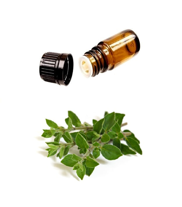 Pure OREGANO Essential Oil Online (Therapeutic Treatment) - MY Natural Beauty essential oils are 100% pure & natural - Oregano oil is known for its naturally occurring high Carvacrol content, a phenol with antimicrobial and antioxidant properties. Miami, Ft Lauderdale, Palm Beach, South Florida