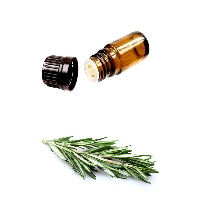 Buy Pure ROSEMARY Essential Oil (Therapeutic Treatment) MY Natural Beauty essential oils are 100% pure and natural - Rosemary oil is a common ingredient found in hair, skin and beauty products such as HAIR GROWTH REGIMES, skin lotions and balms.