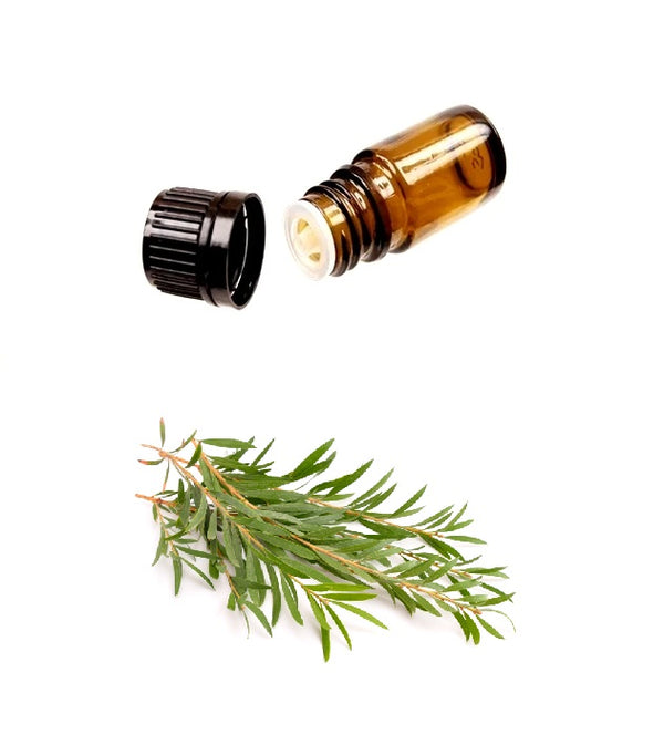 Buy Pure TEA TREE Essential Oil (Therapeutic Treatment) MY Natural Beauty essential oils are 100% pure and natural - Australian tea tree oil offers a wide-range of topical applications for body and hair, including dandruff, toe nail fungus, and inflamed acne.